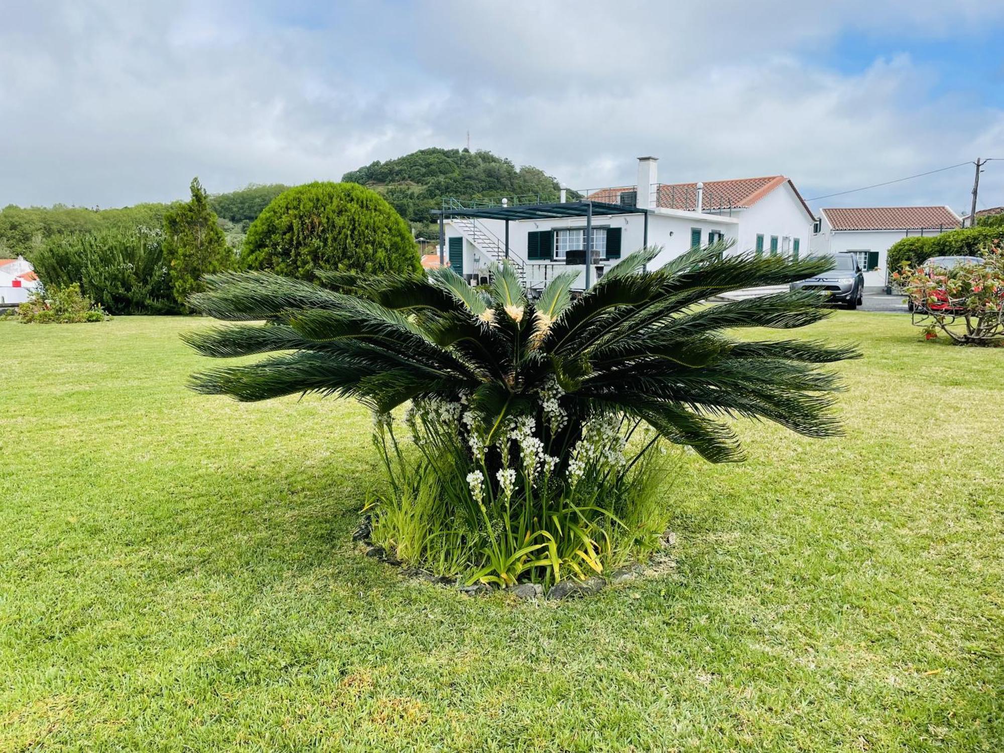 Villa Casa Da Faja Ponta Delgada Exterior foto